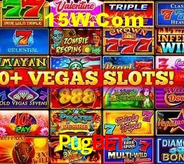 Experiência VIP Pugbet
