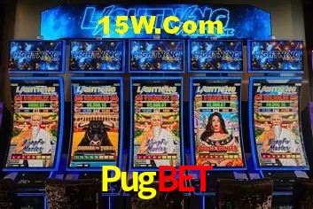 Sistemas de Segurança Pugbet